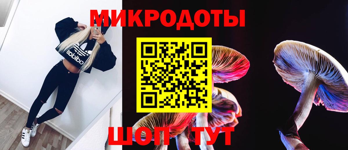 Кизляр  Псилоцибиновые грибы прущие грибы  Галлюциногенные грибы мухоморы  Вход с VPN 